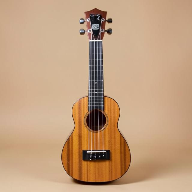 Acoustic-electric ukulele ukulele